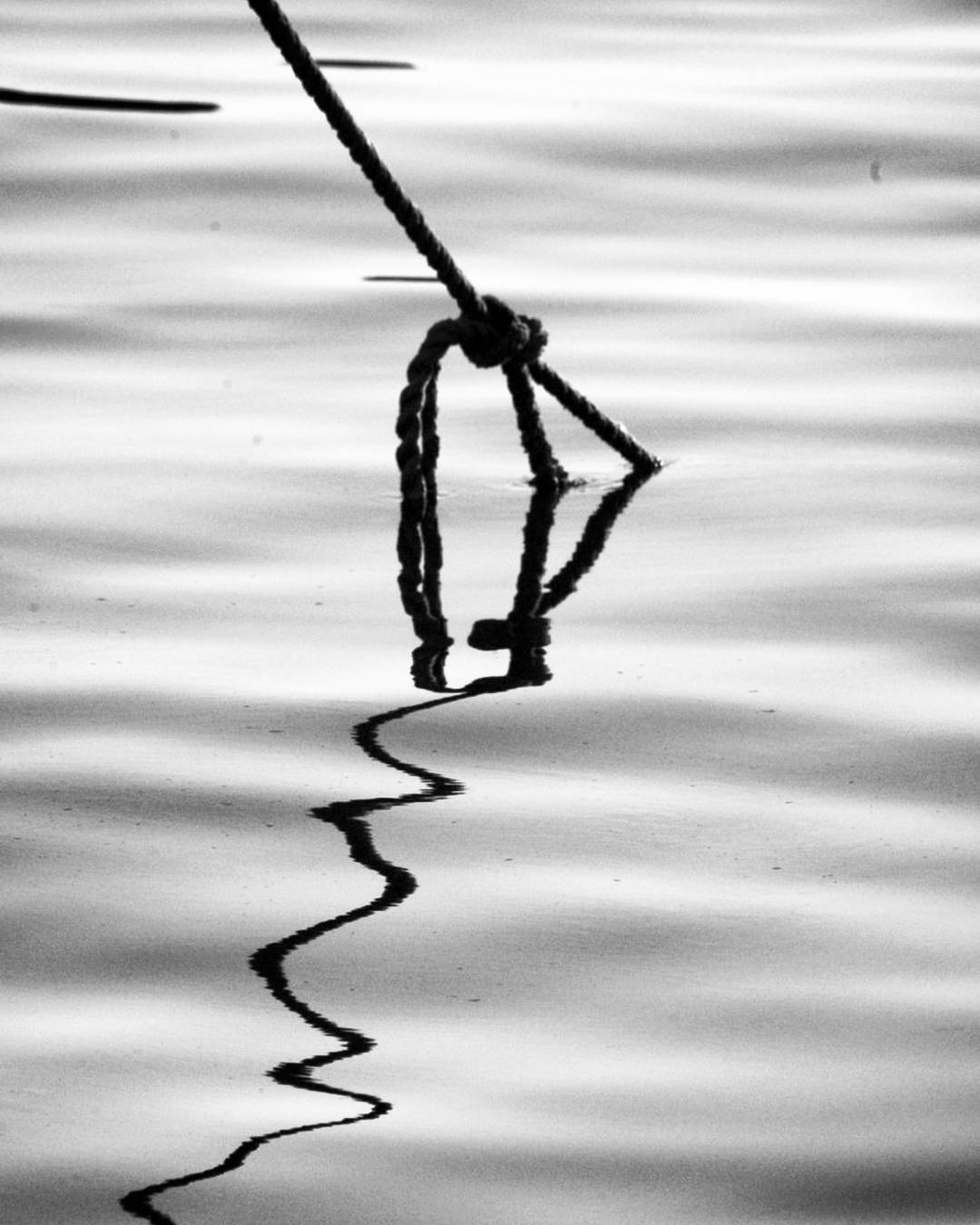 Besides hanging oneself a  rope can be used as a  ... more monochrome photography at http://bnw.alahay.org