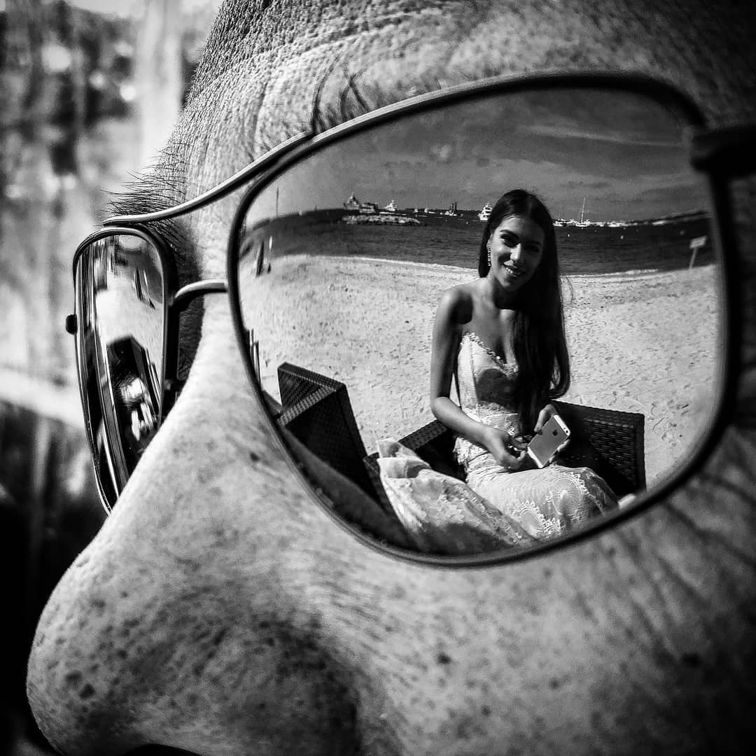  Beauty is in the eye of the beholder. .   cannes ... more monochrome photography at http://bnw.alahay.org