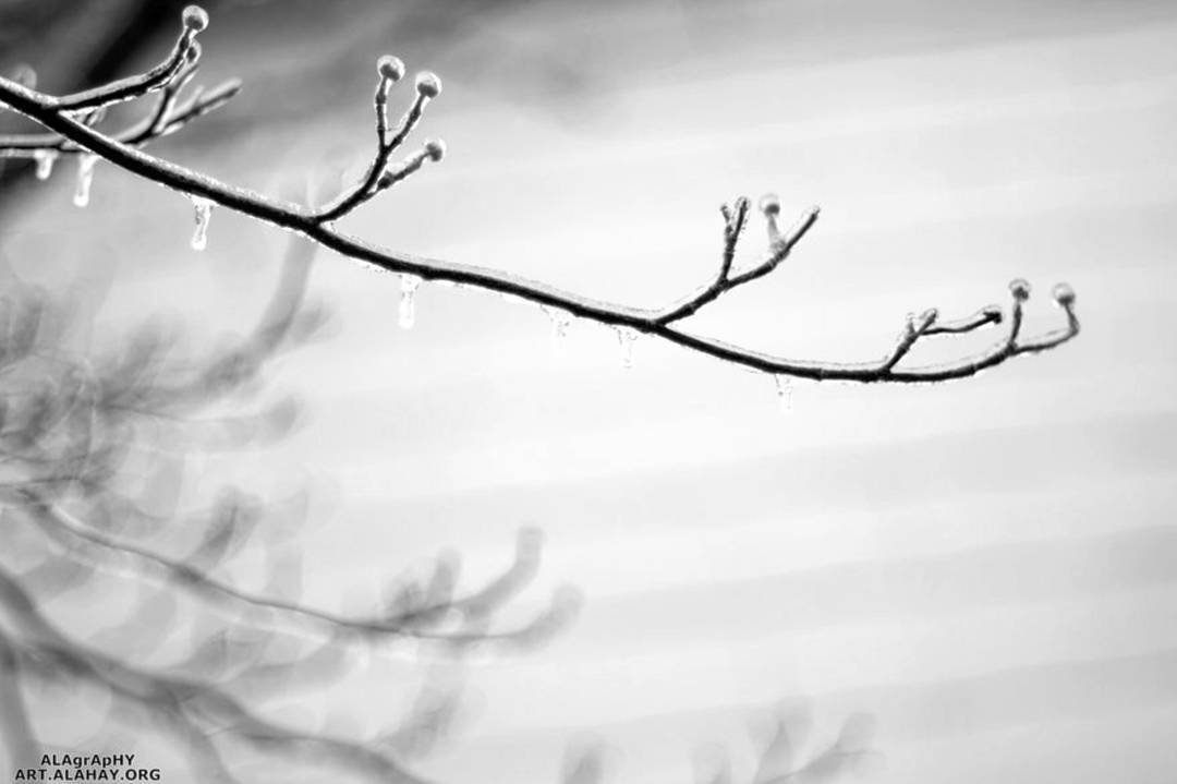  subzero  freezing  winter  hiver  invierno  gelat... more monochrome photography at http://bnw.alahay.org