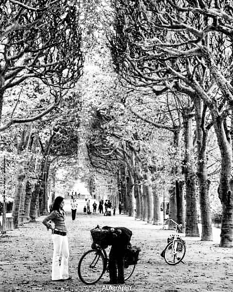  paris ... more monochrome photography at http://bnw.alahay.org