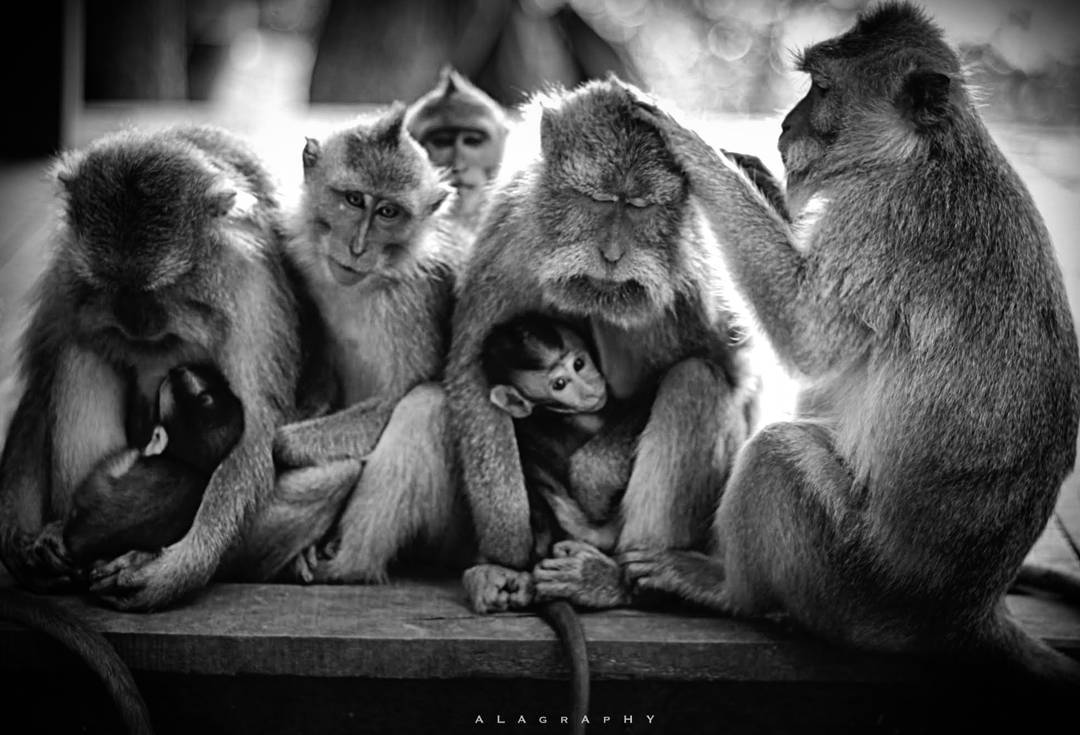 My dysfunctional  family .   monochrome  noiretbla... more monochrome photography at http://bnw.alahay.org