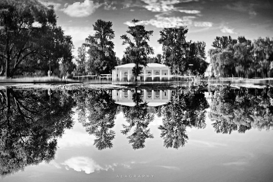 Comment sais-tu que ce n'est pas un  rêve si tu te... more monochrome photography at http://bnw.alahay.org