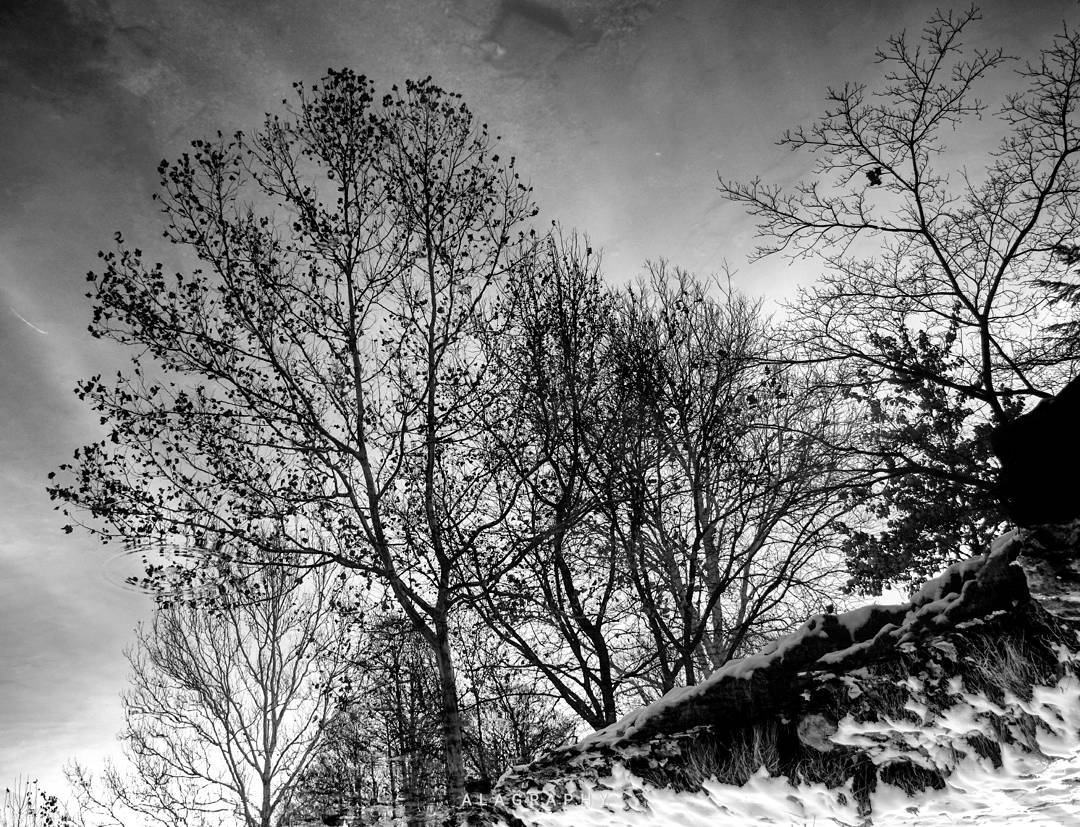 Plongez dans vos désirs,  vos besoins,  les plus f... more monochrome photography at http://bnw.alahay.org