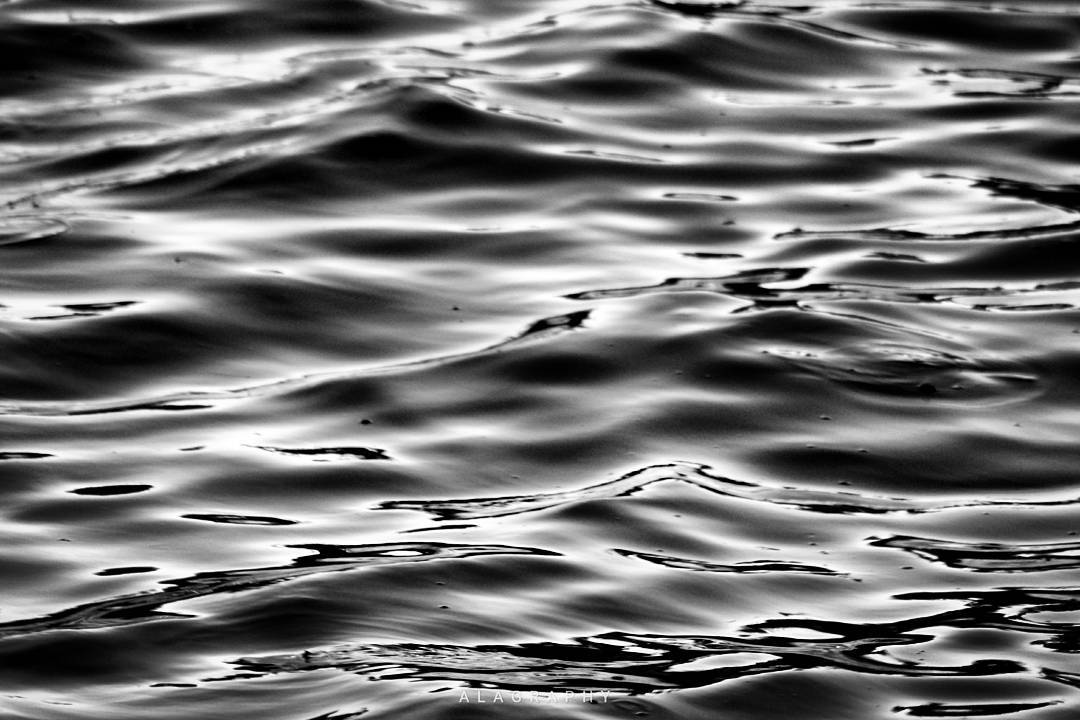Empty your  mind, be formless, shapeless — like  w... more monochrome photography at http://bnw.alahay.org