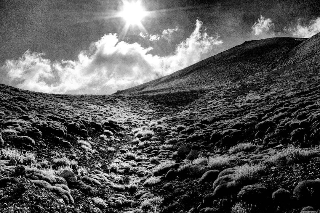  sunrise on absurdstan.  Started a more colorful a... more monochrome photography at http://bnw.alahay.org