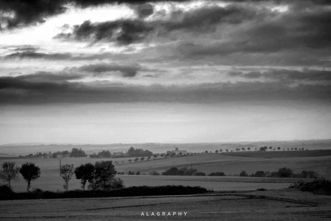 Out beyond ideas of wrongdoing  and rightdoing the... more monochrome photography at http://bnw.alahay.org