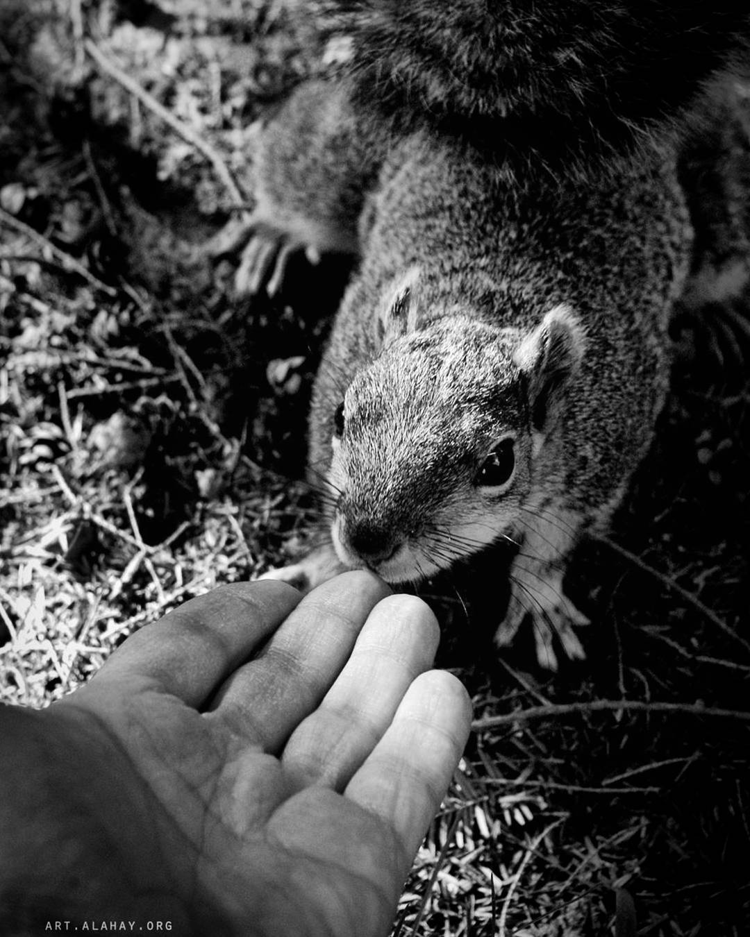 Do not fear the unknown.  There is no evil except ... more monochrome photography at http://bnw.alahay.org