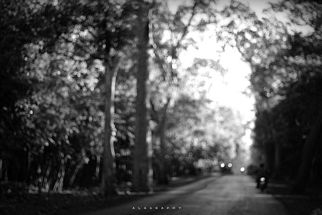 Open your eyes and be  thankful that you can see. ... more monochrome photography at http://bnw.alahay.org