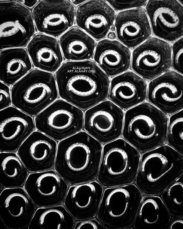 Our Lives trapped in  bubbles.  souls  light  soap... more monochrome photography at http://bnw.alahay.org