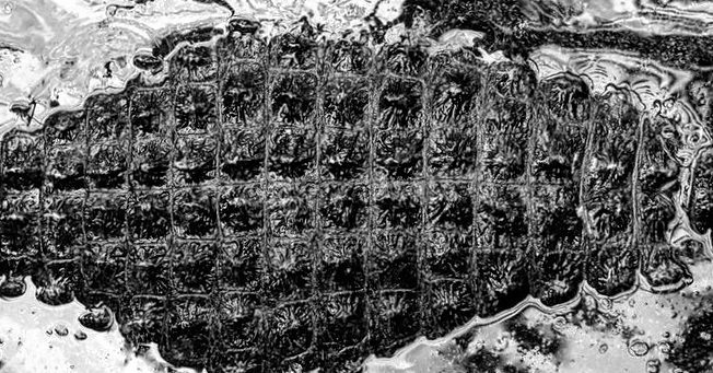 One of the most shocking things to be written in b... more monochrome photography at http://bnw.alahay.org