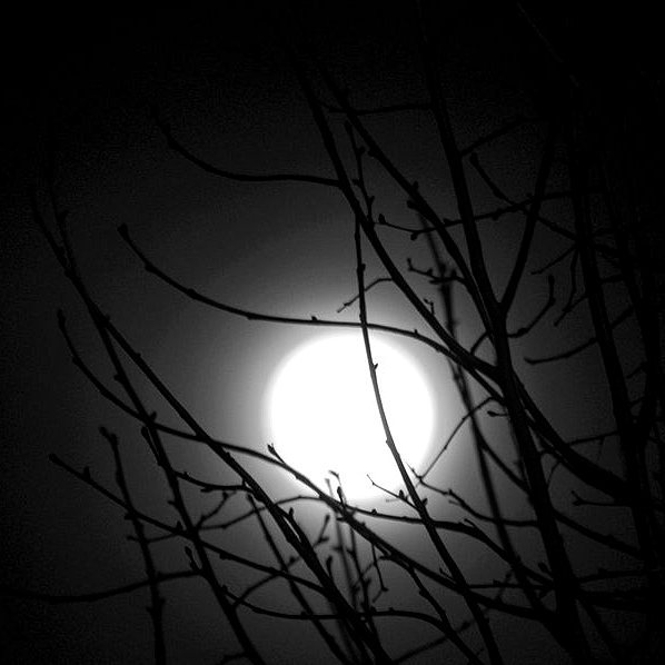 Keep your windows open for the monthly show that i... more monochrome photography at http://bnw.alahay.org