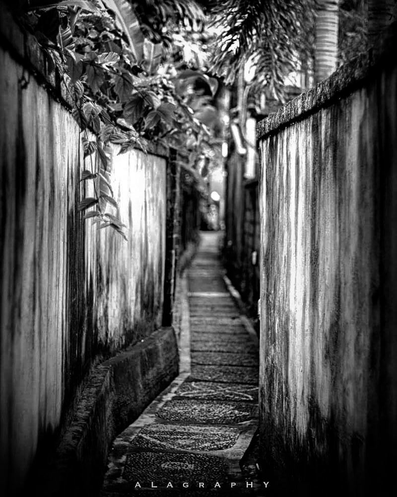 A tiny  alley. Where it takes you nobody knows. Wh... more monochrome photography at http://bnw.alahay.org