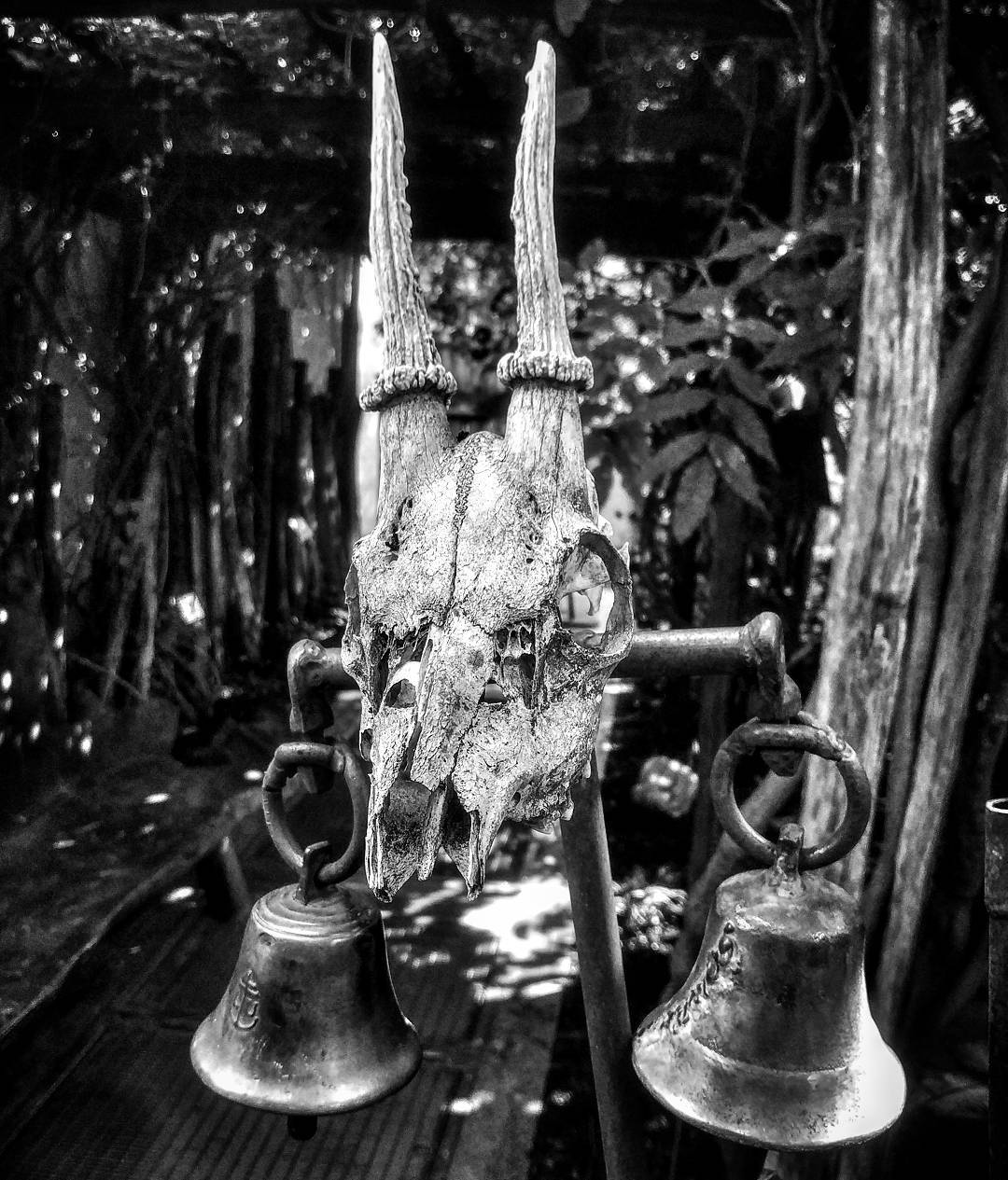 This was found in a  garden for  witches in which ... more monochrome photography at http://bnw.alahay.org
