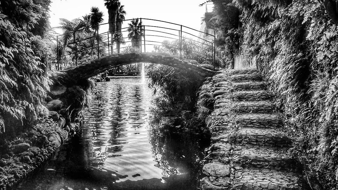 Who wants to be my co-pilot? Apply now!  photoofth... more monochrome photography at http://bnw.alahay.org