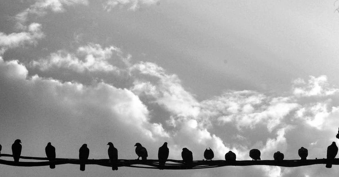  blackandwhite  blackandwhitephotography  photogra... more monochrome photography at http://bnw.alahay.org