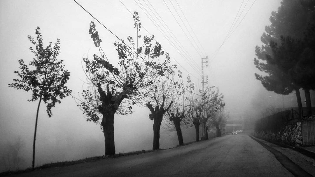 May the lights of these holidays keep you warm all... more monochrome photography at http://bnw.alahay.org