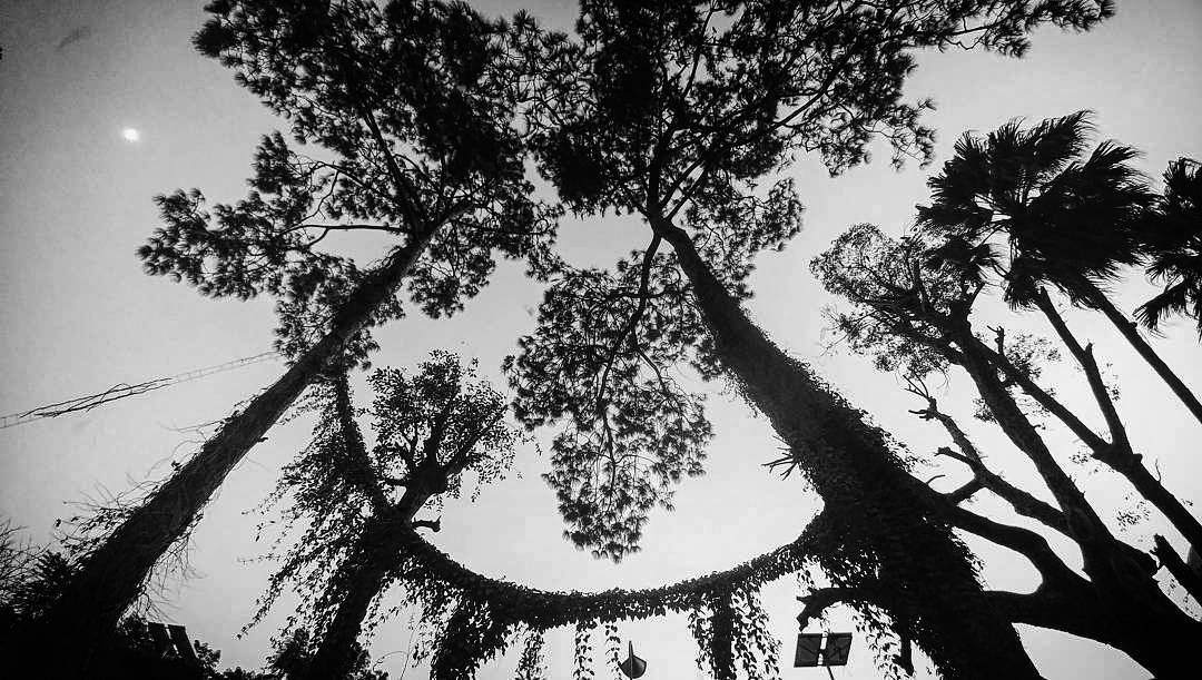 . The moon is up, If you ask 'ssup. Of posing nude... more monochrome photography at http://bnw.alahay.org