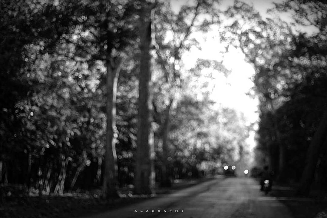 May the errors of 2017 clear your path in 2018.  s... more monochrome photography at http://bnw.alahay.org