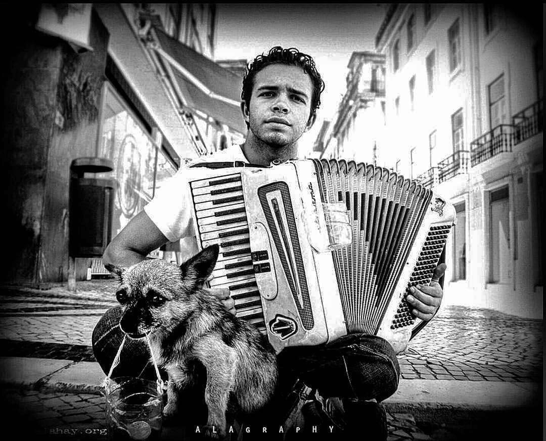  accordionist and  dog  melancholy   perro  cane  ... more monochrome photography at http://bnw.alahay.org