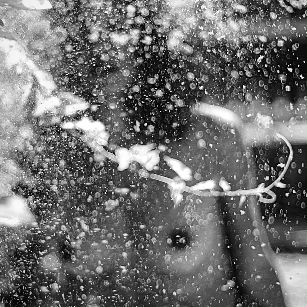Flirting with mother nature and all the taboos we ... more monochrome photography at http://bnw.alahay.org