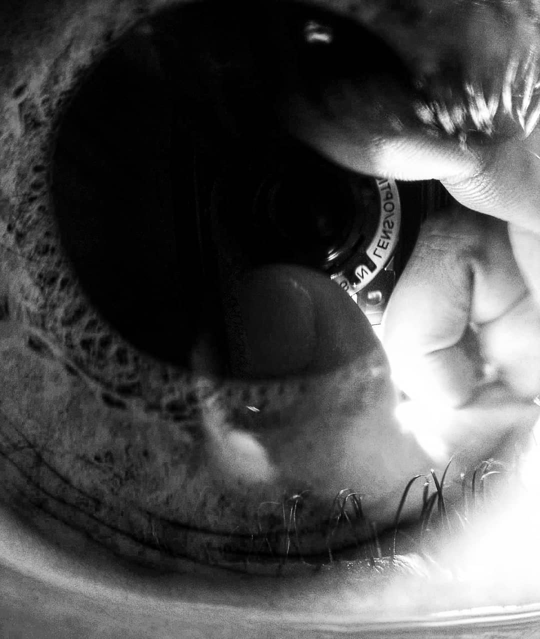 To the gold digger that I mistook for a soulseeker... more monochrome photography at http://bnw.alahay.org