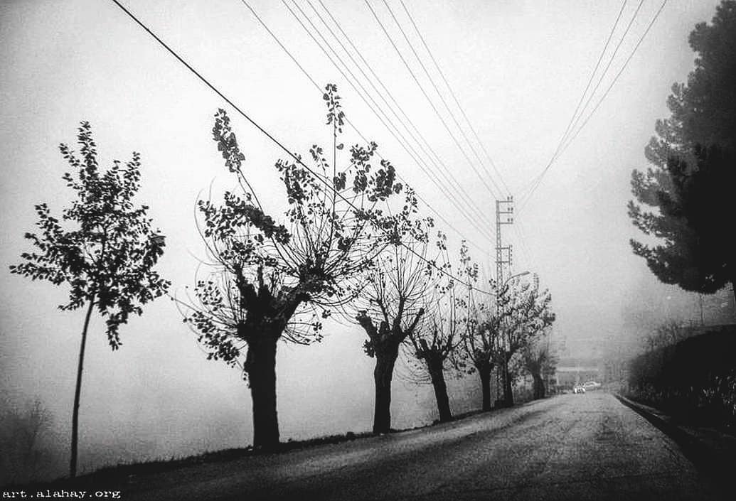 Tant de brouillard obscure le chemin mais si je sa... more monochrome photography at http://bnw.alahay.org