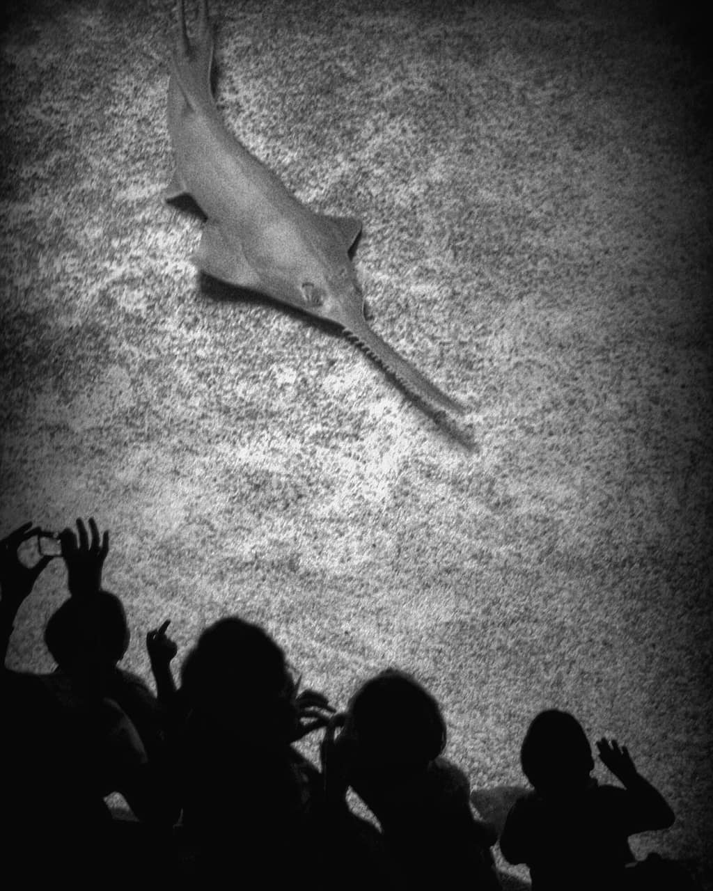 Any mermaids around  Lisbon interested in a  photo... more monochrome photography at http://bnw.alahay.org
