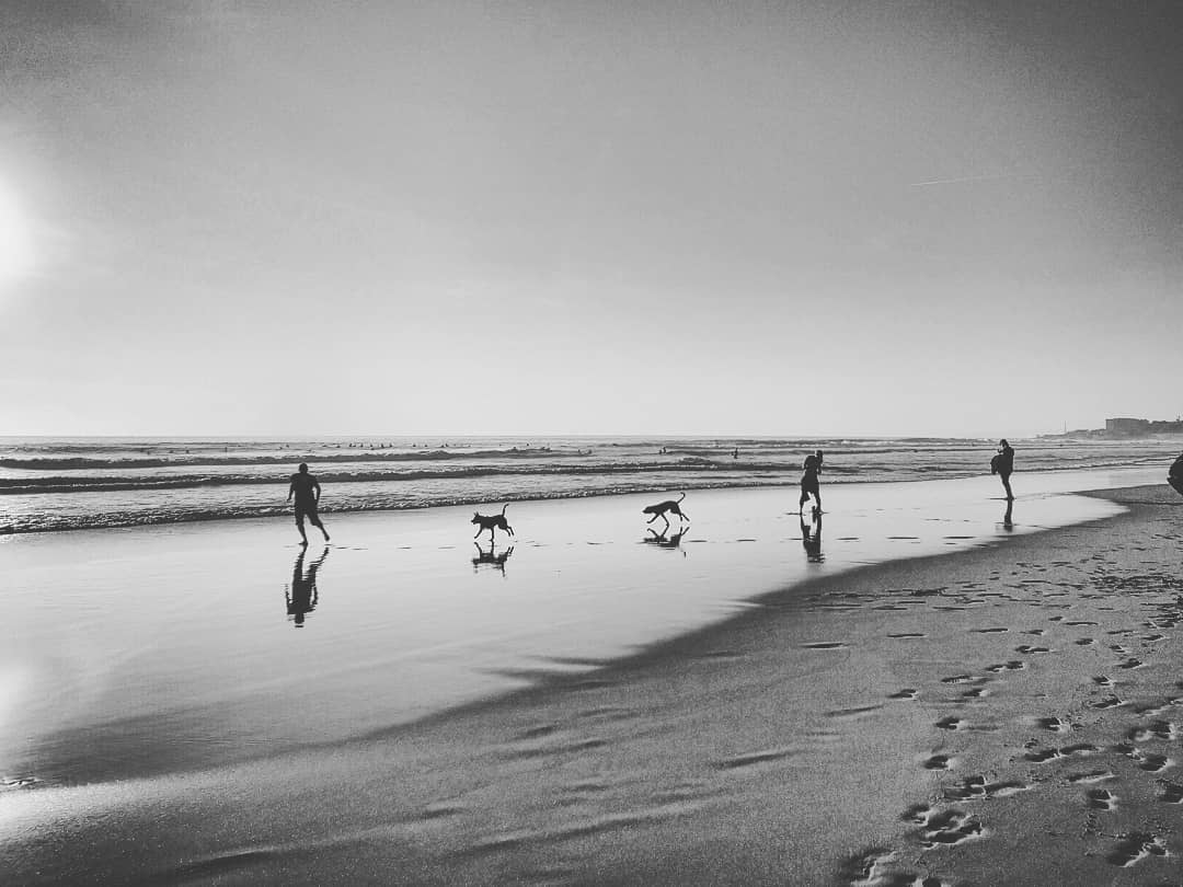 A heartfelt soulful sunset sets upon.. To complain... more monochrome photography at http://bnw.alahay.org