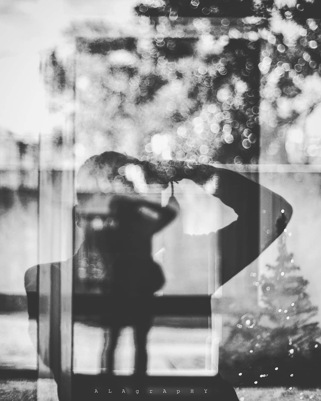 . Hello world! Excuse my silence.  I have missed y... more monochrome photography at http://bnw.alahay.org